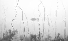 描述心痛感受的动人而美妙的句子，表达内心的感情状态