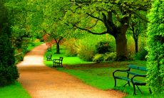 每周二给尊敬的客户发来的亲切问候短信