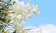 15个唯美英语句子，表达无与伦比的亲情之美