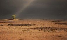 ——从现实中汲取人生智慧：记录那些让我们心有戚戚之感的经典生活语录