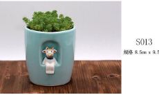 追逐血缔成的共鸣：唯美句子表达血浓于水的不可磨灭亲情