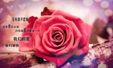 友情胜过爱情：当爱情难以匹敌友情的时候！