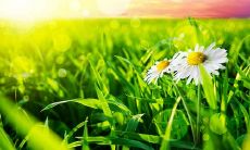 当友谊的背叛伤害到你，这些励志句子将会帮助你重新振作起来！