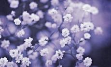 愿你人生中的每一天都充满着快乐和幸福，永远开心快乐，享受美妙的人生旅程