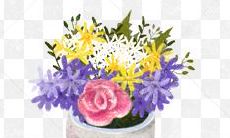 深入探讨那些只为你开心的句子的意义与价值的论述