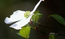 探究如何写出让同学们开心的句子，以及如何用语言形式表现出同学们欢快的样子