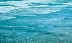 珍惜家人，因为亲情连结难得可贵的价值深远且难言言尽