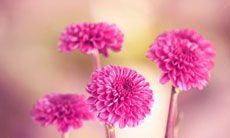 表达深情亲情的句子，彰显人与人之间感人的情感连结