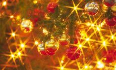 如何用自己的话编写一份特别的生日祝福，让这个日子更加难忘？