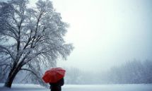 失望的句子——用以表达对家庭所经历的不满和心理反感的言语