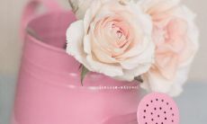 如何用短信给朋友或家人发最温馨的生日祝福？