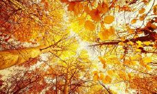 心烦意乱、难以入眠的经典名言佳句：如何缓解情绪压力与焦虑困扰？