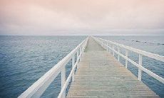 如何在周末向朋友们发送温馨问候短信？