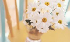 爽意十足的生活座右铭，让你清新舒爽每一天！