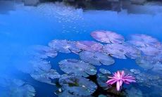 当亲情归去，留下的悔恨与痛楚：深情厚爱，一字千金的句子