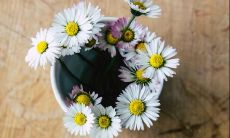 令人陶醉、深情而又意蕴悠长的唯美句子个性签名，让你散发出独特的气质与文艺韵味