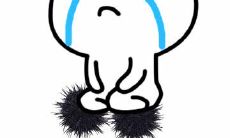 以温暖道歉哄人心的句子，展现人性与和谐的一面