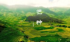 2035年芒种节气：必备的经典文案和祝福语用于社交媒体平台和朋友圈