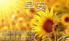 一些值得用来发朋友圈清晨问候语的句子，使你的好友感受到温馨的早安祝福