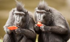 2022年最新更新的抖音搞笑句子合集，助你化解压力、舒展心情！