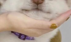 使用趣味幽默的口吻缓解不良情绪的搞笑语句