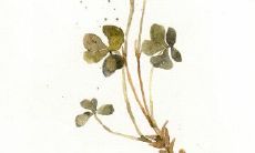 三个人间的男女友情句子分享