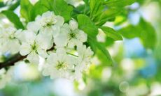 分享快乐：一份满是幸福的朋友圈动态