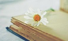 2022年的最为精美绝伦、醉人心扉的句子，让你忘却烦恼、感受生命之美！