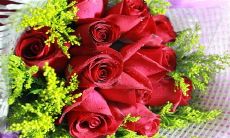 2022年最新恋爱话题分享：恋爱经验、情感感悟与爱情哲理，尽在恋爱说说！