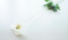 分享温暖的心情，与好友交流，你想要在朋友圈中发表些什么呢？