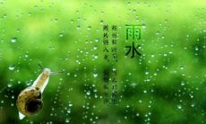 分享2022年雨水节气下的心情：愉悦，感恩与期待