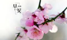 寻找最棒的早晨问候语，为您的日子增添快乐和正能量！