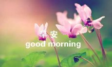 - 史上最全！2022年朋友圈经典说说大盘点——让你说出一整年的早安话语！