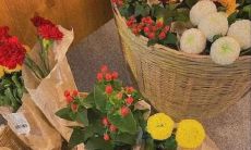 小众群体中不可忽视的、令人惊艳的短小精悍表达方式