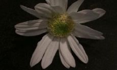 触动内心情感 留下泪水 痛苦短语 令人哭泣的阅读体验