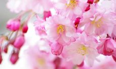 探寻唯美诗意：极具感染力的抖音说说短语推荐