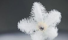 常常在朋友圈更新并分享自己生活状态的日常说说