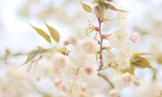 分享生活点滴：让你朋友圈更真实的大实话说说句句！