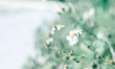 探究朋友圈的神秘语言，收录丰富多彩的深奥说说大全