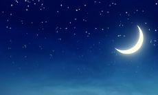 感恩老板赐予肯定，让我倍感荣耀和备受鼓舞的心情表达