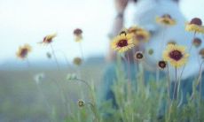 当发生打球受伤情况时，领导发来关切短信，要如何回复？