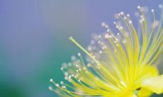 探究朋友圈里的经典暖心说说：我们和身边朋友之间的真挚情感和温暖力量