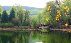 用唯美短句描述的美丽风景画，令人陶醉迷醉，令人心旷神怡，赏析其美丽纷呈令人心生感慨！