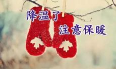 精选适合发朋友圈的优美句子——迎接降温时光，让心灵沐浴清风，感受清新宜人的秋日气息！