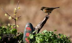 当你需要向一个不熟悉的长辈发送问候短信时，你应该怎样撰写短信？