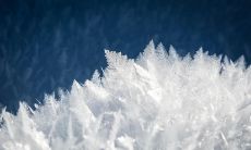 探寻下雪的动人韵味：唯美描述下雪的名言佳句分享