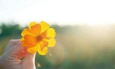 通过发短信向客户问候，增强客户满意度及促进客户关系维护