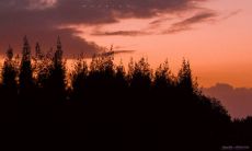 无法避免的痛苦：探讨背叛所带来的悲伤和伤痛的深刻短语