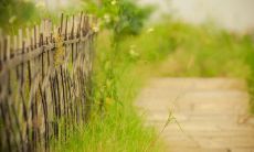 一起重温与闺蜜相见时那份难以言喻的友情感受：经典友情语句！