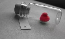 探究生命深意，呈现独树一帜的人生哲理与原则